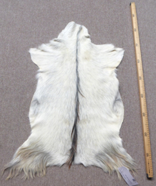 Goatskin (23)