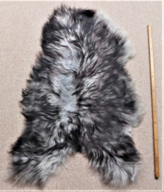 Grey Icelandic Sheepskin with Black Tips M (510)