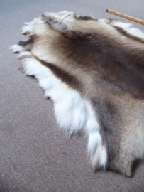 Reindeer Hide (36)