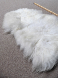 White Icelandic Sheepskin S (903)