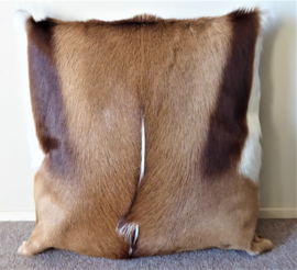 Springbok Cushion (32)