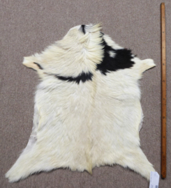 Goatskin (222)