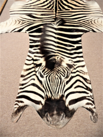 Zebra Hide Burchell A Grade (10)