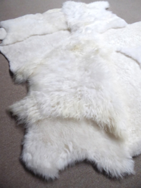 White Blizzard Sheepskin Rug, +/- 170 x 200 cm (301)