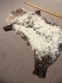Curly Lambskin XS (15)