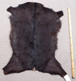 Goatskin (671)