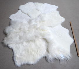 White Blizzard Sheepskin Rug, +/- 150 x 200 cm (131)