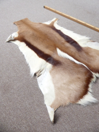 Springbok Hide (12)
