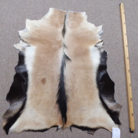 Goatskin (108)