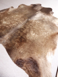 Taupe Cowhide L (315)