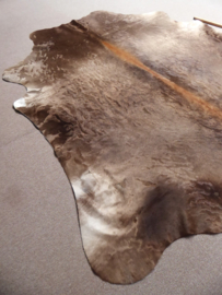 Taupe Cowhide XL (742)