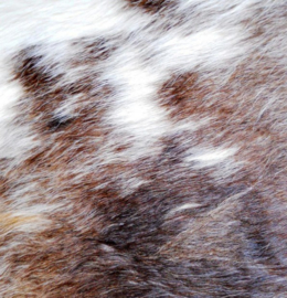 Reddish Brown Cowhides