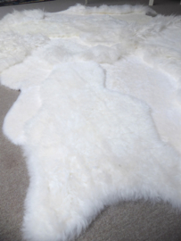 White Blizzard Sheepskin Rug, +6/- 200 x 260 cm (133)