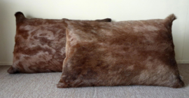 Blesbok Cushion (8)