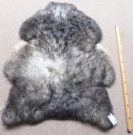 Grey Sheepskin XXL (5412)