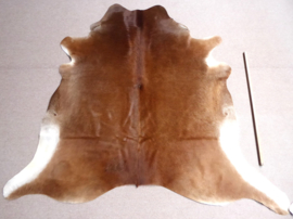 Caramel Cowhide M (656)