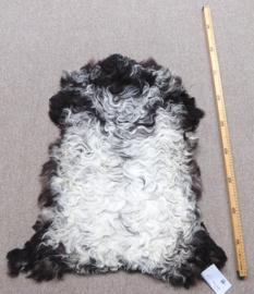 Curly Lambskin XS (5)