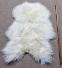 White Icelandic Sheepskin S (34)