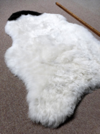 Spotted Shorn Sheepskin S (1218)