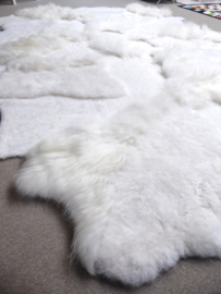 White Blizzard Sheepskin Rug, +/- 230 x 330 cm (5)