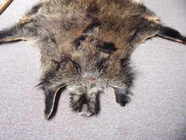 Wild Boar Skin L (17)