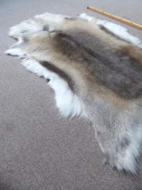 Reindeer Hide (35)