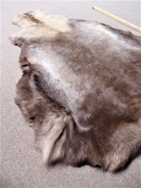 Reindeer Hide (61)