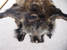 Wild Boar Skin L (18)
