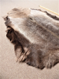 Reindeer Hide (70)