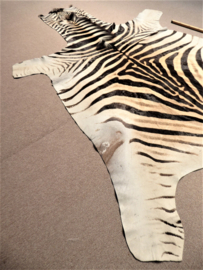 Zebra Hide Burchell A Grade (10)