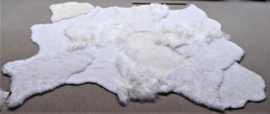 White Blizzard Sheepskin Rug, +/- 200 x 290 cm (8)