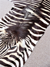 Zebra Hide Burchell B Grade (17)