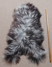 Grey Icelandic Sheepskin with Black Tips M (511)