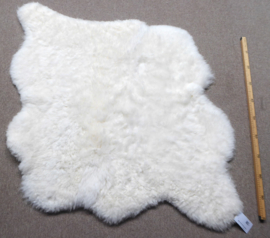 White Shorn Sheepskin Rug, Double, +/- 110 x 120 cm (34)
