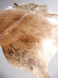 Beige-Caramel Brindle Cowhide L/XL (213)