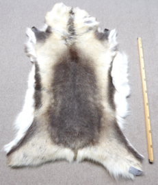 Reindeer Hide (40)