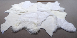 White Blizzard Sheepskin Rug, +/- 180 x 250 cm (300)