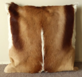 Springbok Cushion (58)