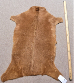 Goatskin (559)