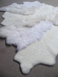 White Blizzard Sheepskin Rug, +/- 160 x 220 cm (251)