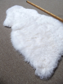 White Shorn Sheepskin S (5084)