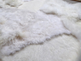 White Blizzard Sheepskin Rug, +/- 180 x 250 cm (300)
