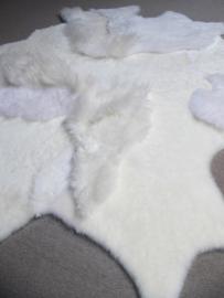 White Blizzard Sheepskin Rug, +/- 160 x 220 cm (251)