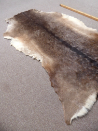 Fallow Deer Hide (80)