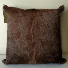 Blesbok Cushion (76)