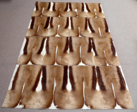 Springbok Patchwork Rug, 160 x 240 cm