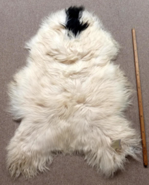 Spotted Icelandic Sheepskin L (104)