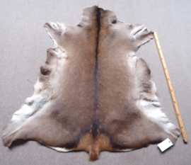 Red Deer Hide (3)