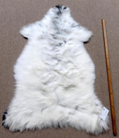 Welsh Sheepskin M (264)