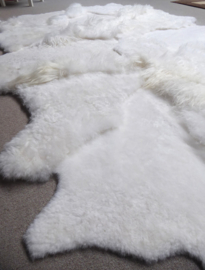 White Blizzard Sheepskin Rug, +/- 200 x 300 cm (125)